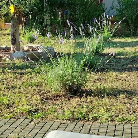 Apartman-cottage Grgec * Jelsa (Hvar)
